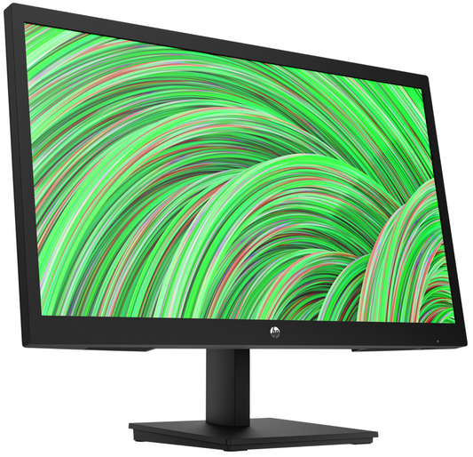 HP P22v G5 FHD Monitor